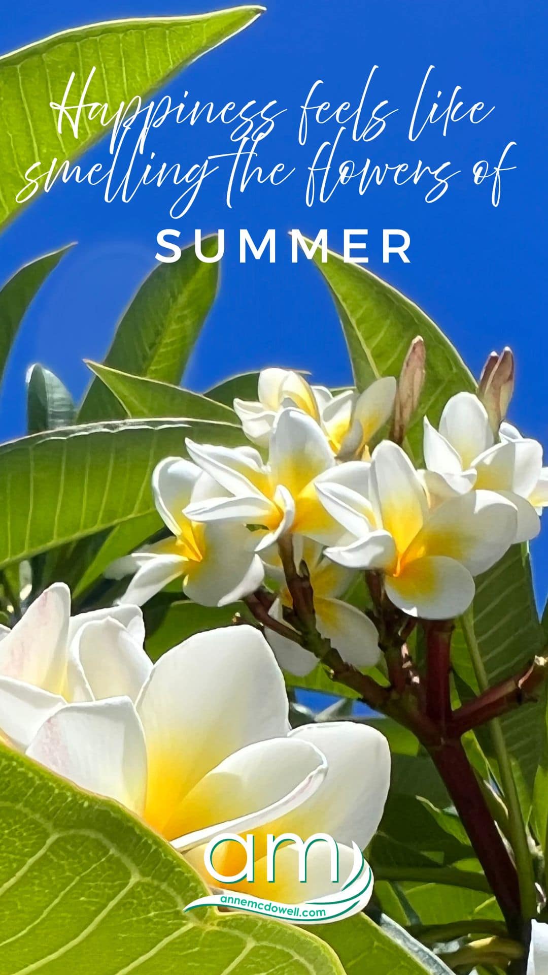 Happiness Radiant Reminders » Happiness Radiant Reminders Elevana Happiness Radiant Reminders - Mobile Wallpaper
