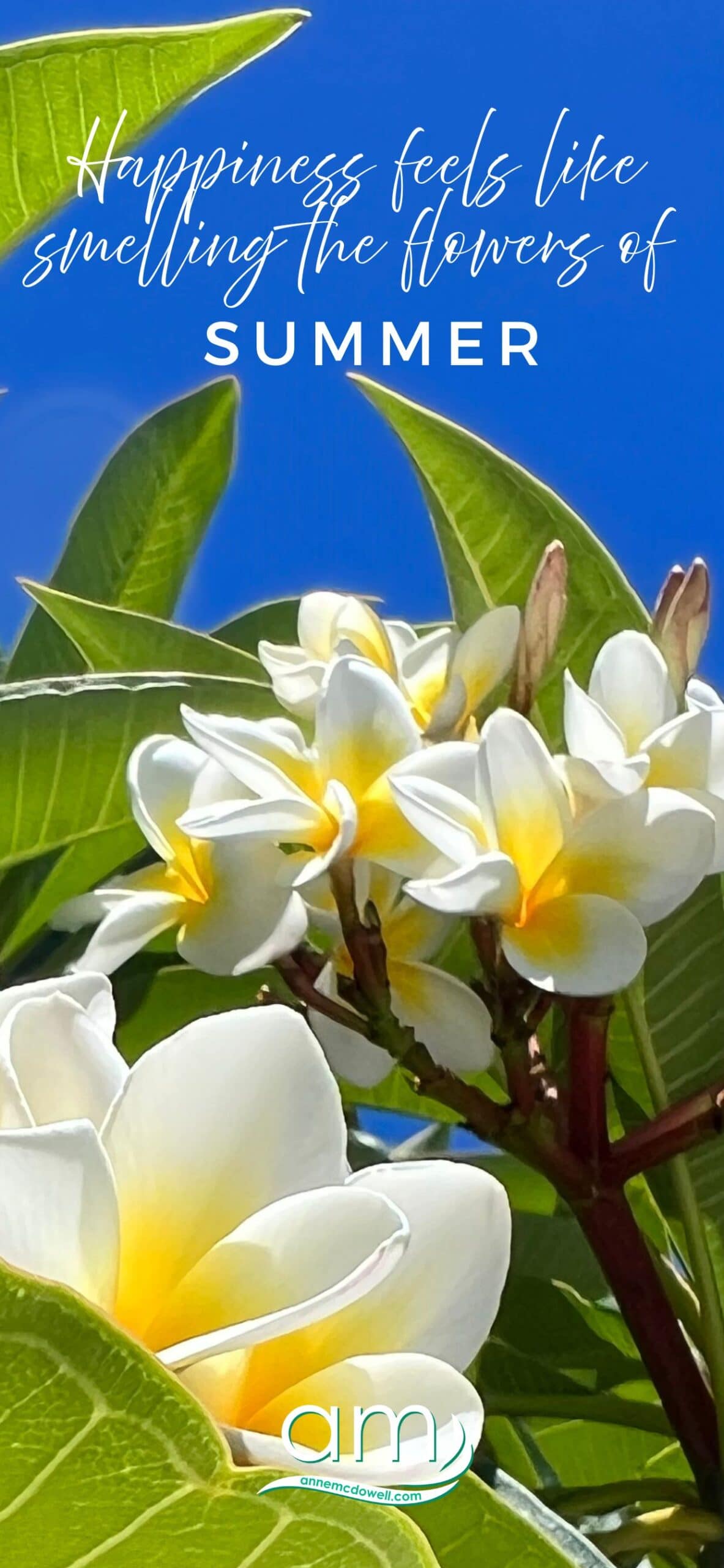 Happiness Radiant Reminders » Happiness Radiant Reminders Elevana Happiness Radiant Reminders - Mobile Wallpaper Pro Max
