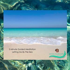Elevana » Elevana Letting Go By The Sea Guided Meditation with Anne McDowell, Master of Change, Leadership and Resilience