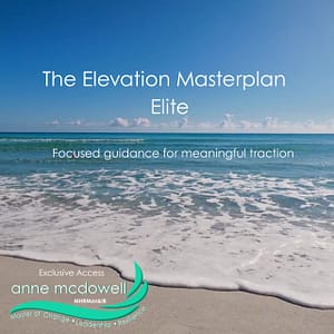 Elevana » Elevana The Elevation Masterplan Elite with Anne McDowell, Master of Change, Leadership and Resilience