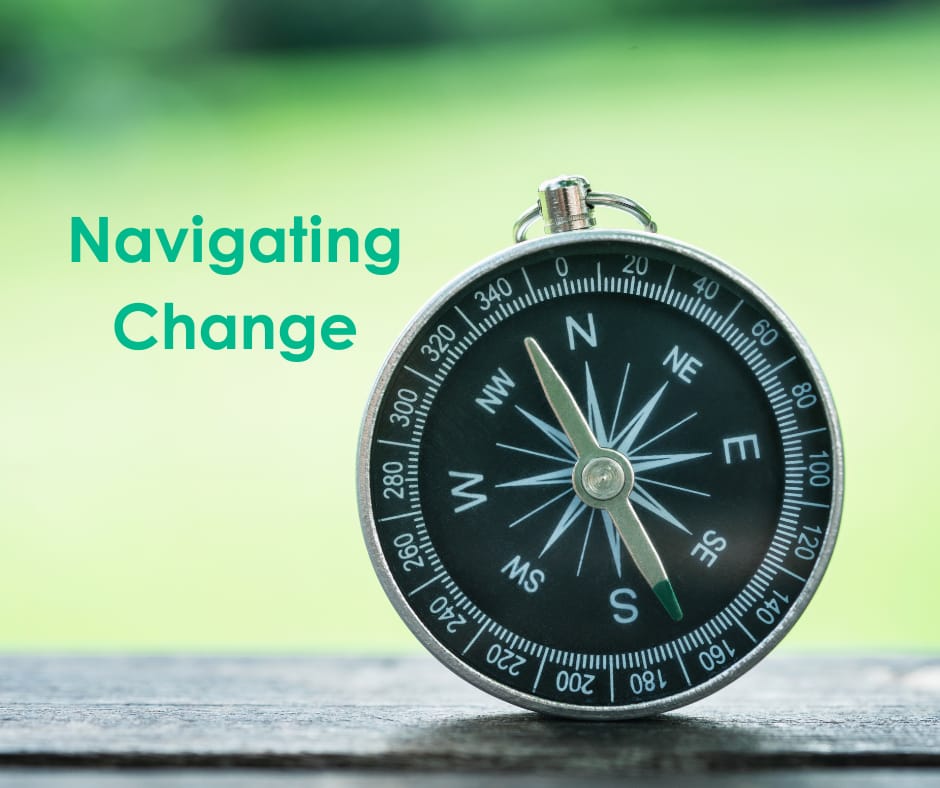 Navigating Change with Anne McDowell, Master of Change, Leadership and Resilience